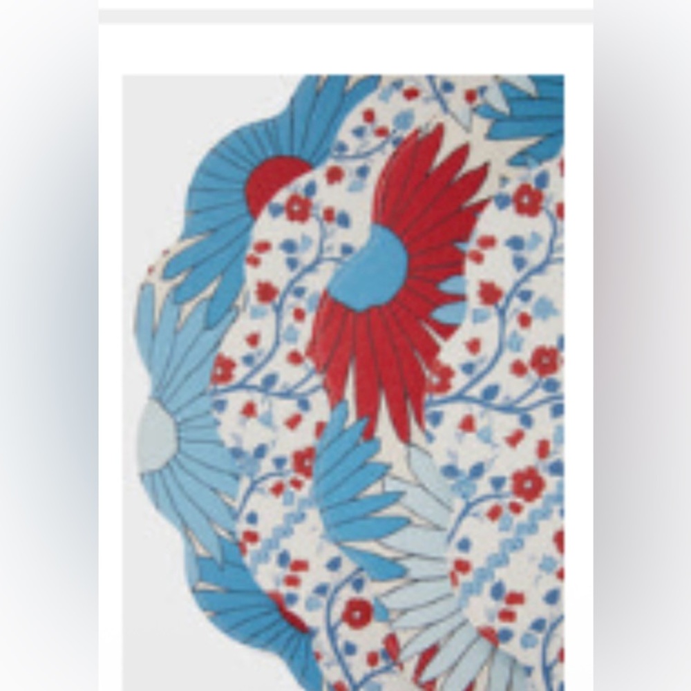 NWT Tuckernuck climbing Daisy Reversible Wipeable Colorful Floral placemats